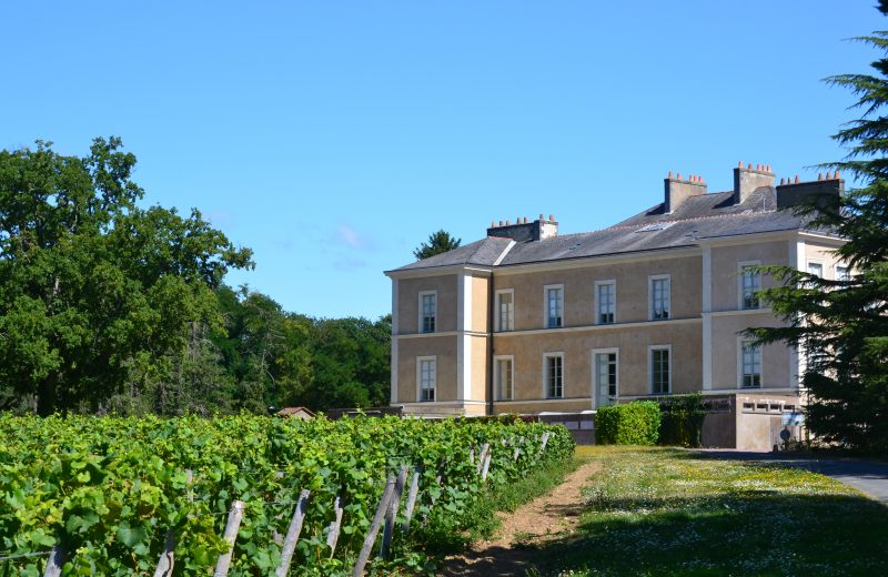 chateau du cléray